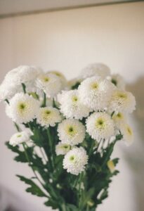 お墓に供える白い菊の花束（お墓参り代行でのお供えのイメージ）