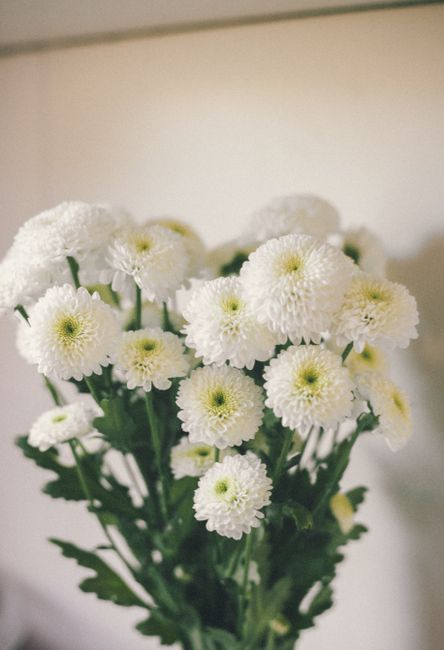お墓に供える白い菊の花束（お墓参り代行でのお供えのイメージ）